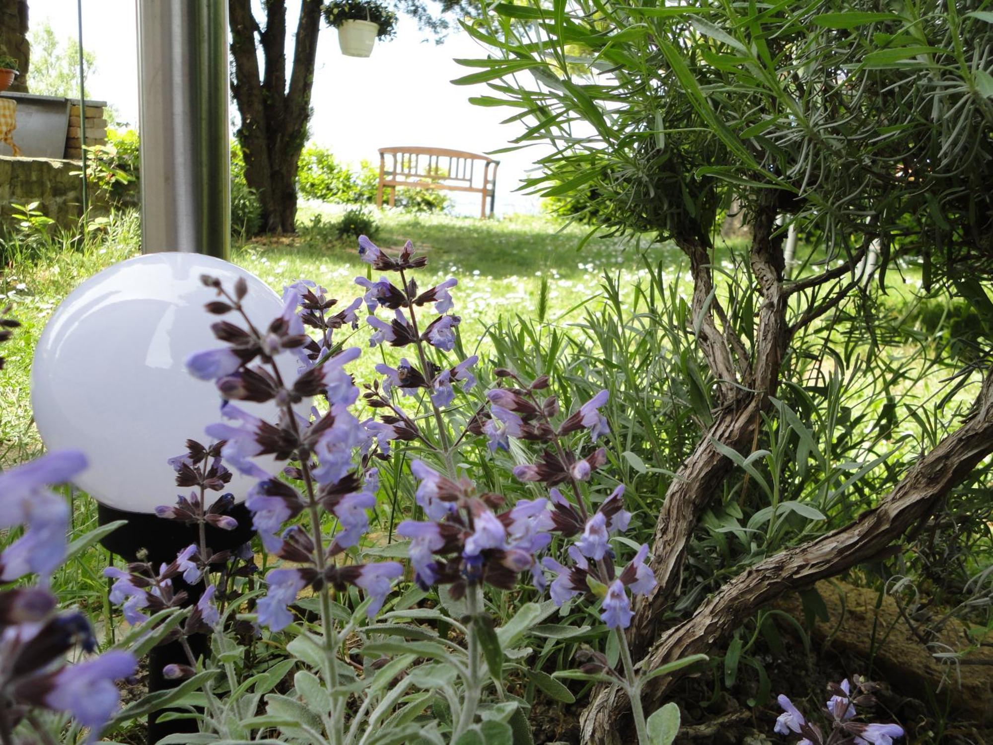 Apartament Ritosa *