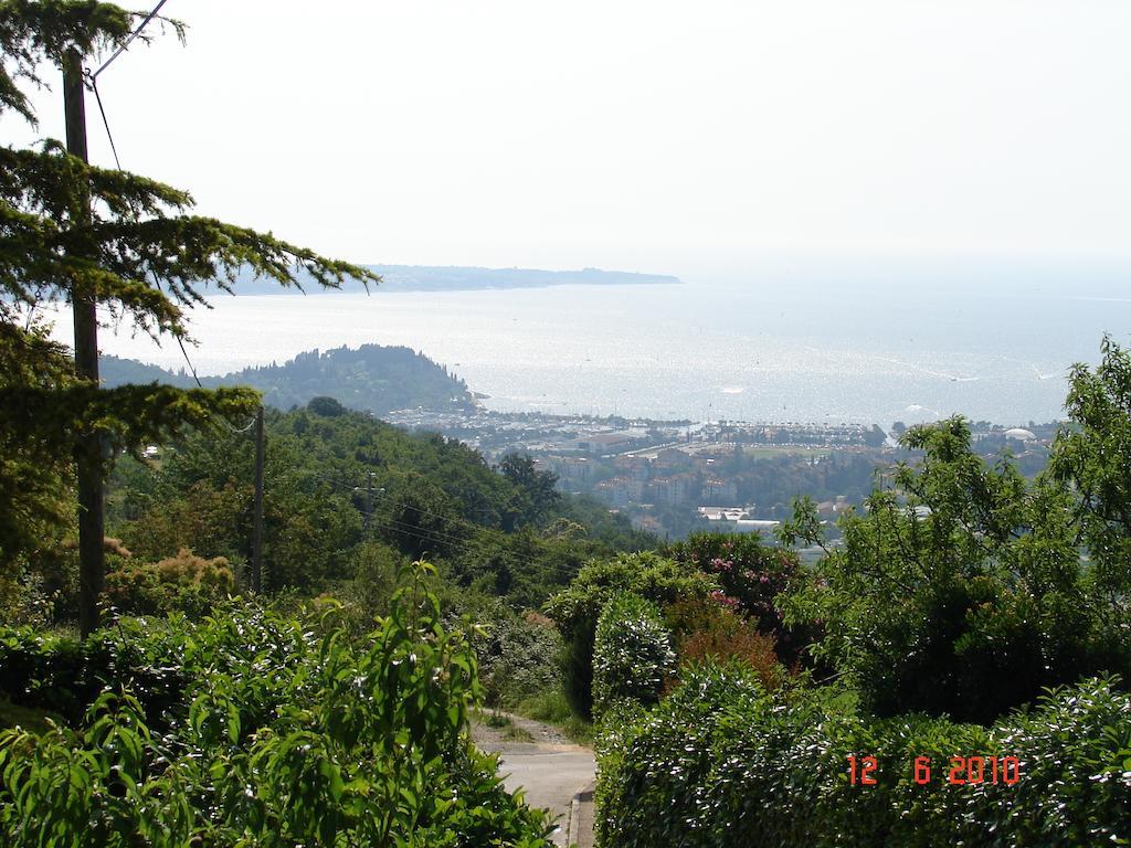 Ritosa Izola